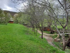 bucataria si foisoarele camping musai panoramic coltesti rimetea