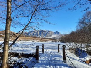 camping musai coltesti iarna