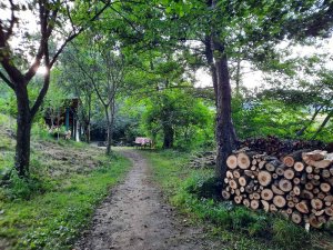 cararea spre zona de gatit in aer liber