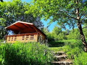 casuta cu pasarele camping musai