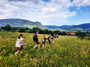 drumetie la coltesti rametea