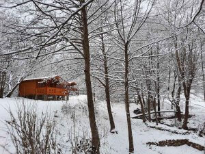 iarna la wood cabins camping musai coltesti