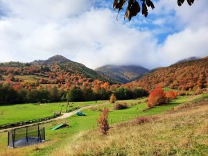 parcare camping cort si rulota