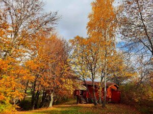 toamna la casutele de lemn wood cabins