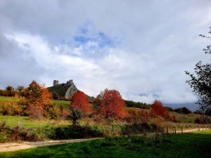 vedere catre cetatea trascaului din parcarea casutelor de lemn wood cabins coltesti