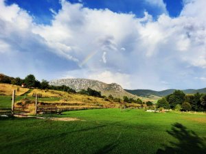 vedere din camping coltesti