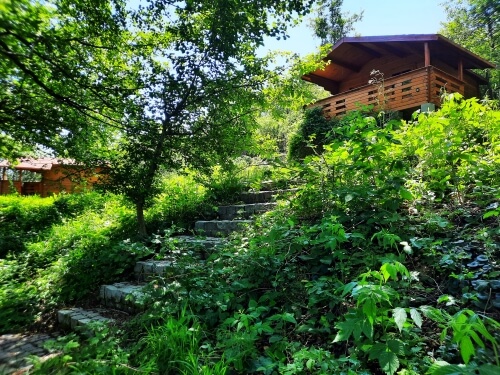 casa veche camping musai coltesti rimetea